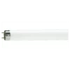 Bóng huỳnh quang tiêu chuẩn T8 1.2m TL-D 36W sáng trắng 6500K Philips