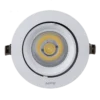 Đèn LED downlight chỉnh hướng gắn âm 35W sáng trắng MPE DLA-35T