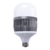 Bóng đèn LED Bulb 60W đui E27 sáng trắng MPE LB-60T
