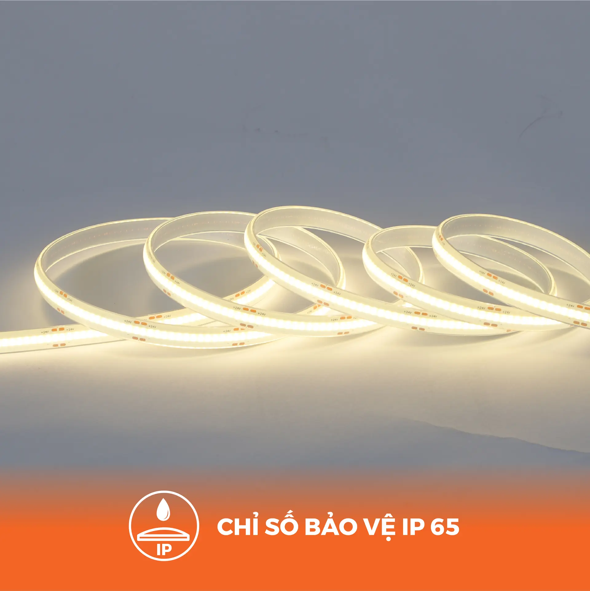 Đèn LED dây ngoài trời COB 320 LED/m 10W/m 24Vdc sáng vàng 2700K (cuộn 5m) Nanoco NSTC3202-65 - Ảnh 2